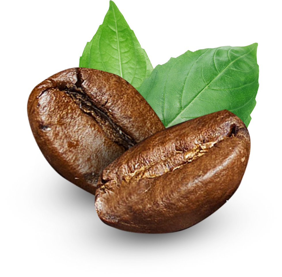 Roasted coffee beans with coffee leaves isolated